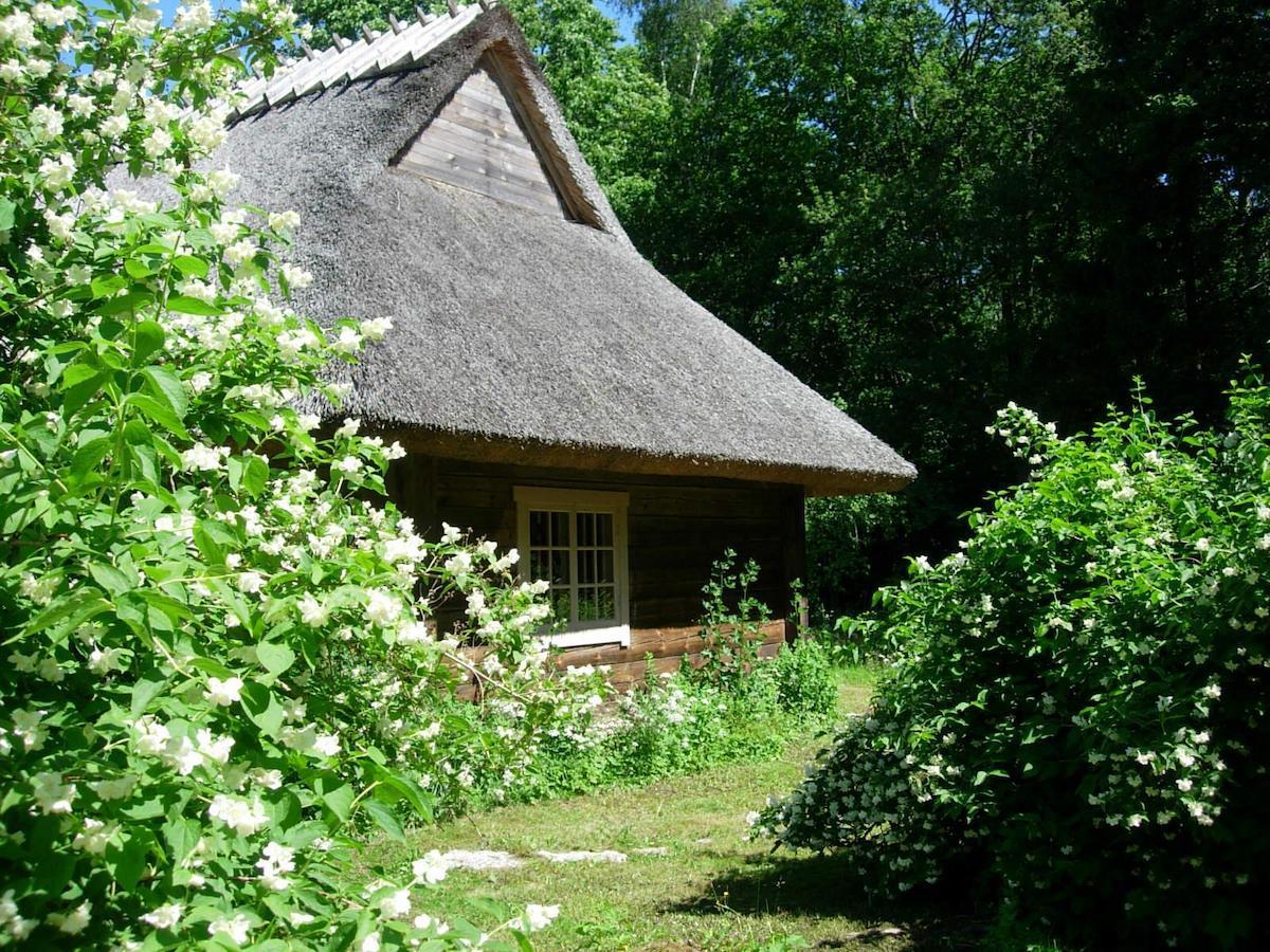 Готель Kotka Farm Saarekula Екстер'єр фото